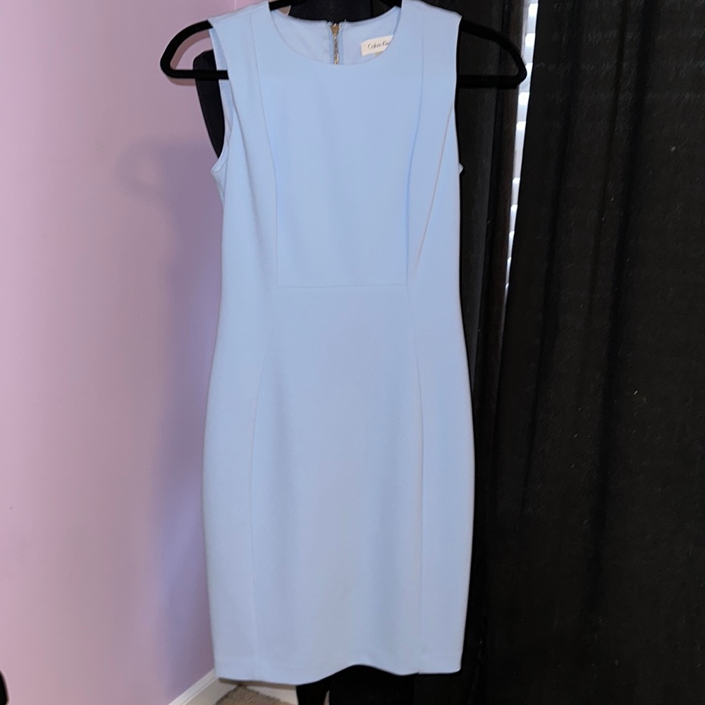 Calvin Klein Form Fitting Dress